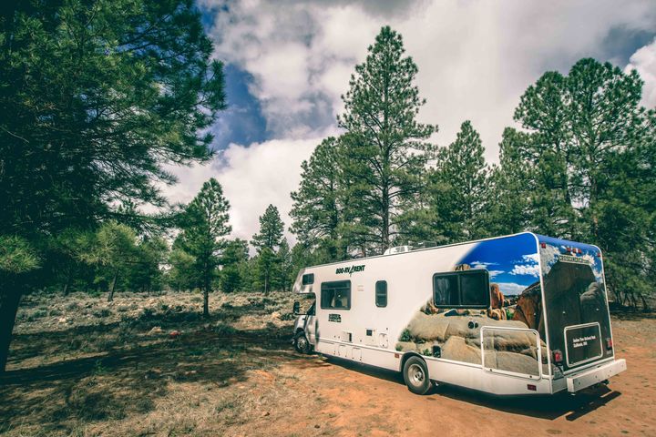 One of our favourite camping spots in Kaibab National Forest in Arizona