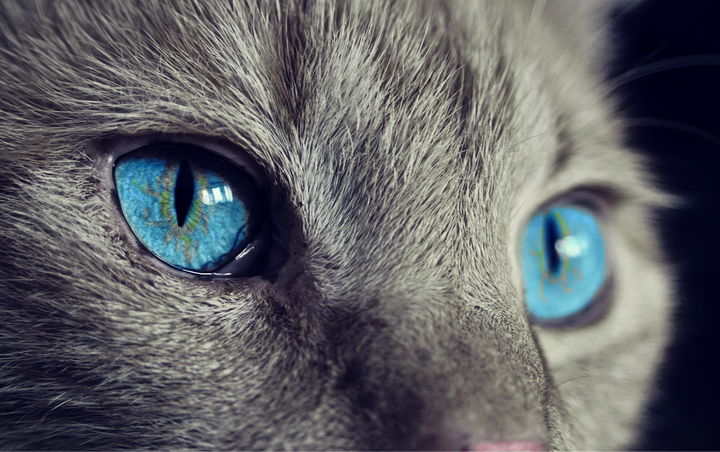 <a href="http://www.pippaladoube.com/essence/" target="_blank" role="link" rel="nofollow" class=" js-entry-link cet-external-link" data-vars-item-name="By looking the Hard Stuff right in the eyes, we give them permission to move through us, (not get stuck in them but move through them), and can actually feel our souls becoming stronger and more resilient as a result." data-vars-item-type="text" data-vars-unit-name="574317e3e4b0d1507778637a" data-vars-unit-type="buzz_body" data-vars-target-content-id="http://www.pippaladoube.com/essence/" data-vars-target-content-type="url" data-vars-type="web_external_link" data-vars-subunit-name="article_body" data-vars-subunit-type="component" data-vars-position-in-subunit="7">By looking the Hard Stuff right in the eyes, we give them permission to move through us, (not get stuck in them but move through them), and can actually feel our souls becoming stronger and more resilient as a result.</a>