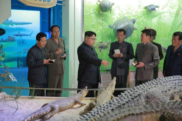 This undated picture released by North Korea's official Korean Central News Agency (KCNA) on May 21, 2016 shows Kim Jong-Un (C) inspecting a new nature museum in Pyongyang.