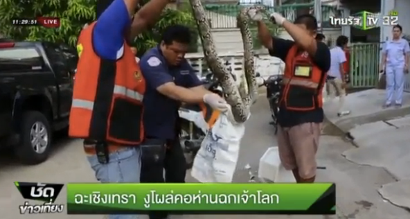 A crew carries out the snake after breaking the bathroom fixture in which it was stuck.