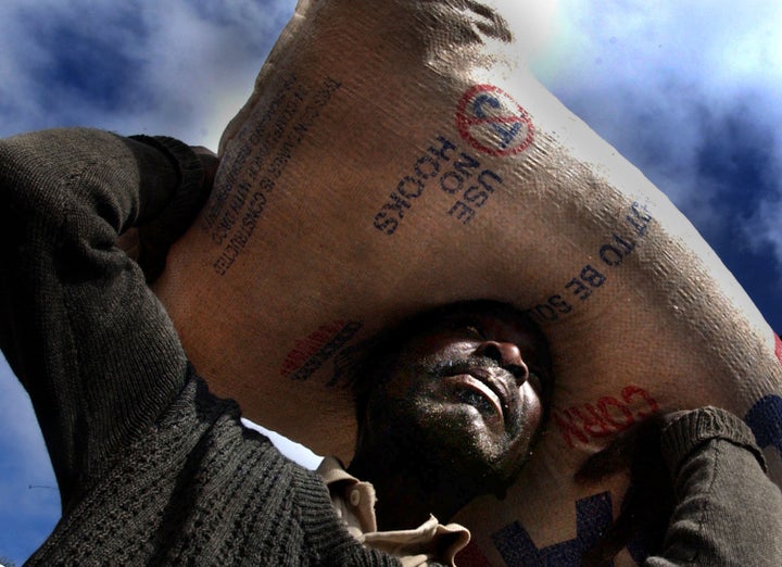 BLANTYRE, MALAWI - JULY 4: A Malawian suffering from a severe food shortage carries corn home from a food distribution center July 4, 2002 near Blantyre, Malawi. In Malawi, and several other affected countries, widespread poverty and the increasing economic and social disruption caused by a devastating HIV/AIDS crisis are additional factors disrupting agriculture and causing a growing food shortage. After the droughts and flooding in the last year, there has been an ongoing food shortage in the region. The World Food Program estimates that 3.2 million people in Malawi alone will be affected before March 2003. (Photo by Ami Vitale/Getty Images)