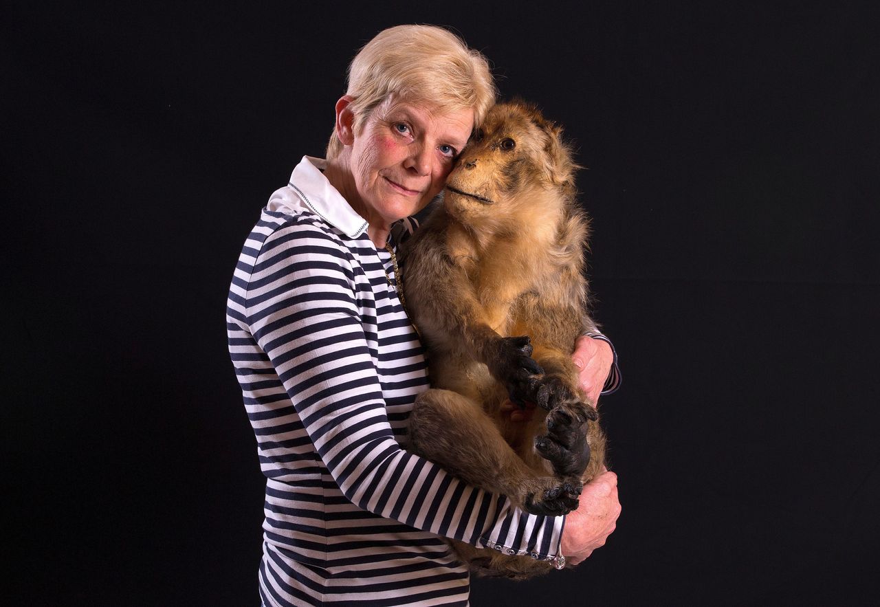 Chantal Bauchez holds her stuffed barbary macaque, Moukys, at her home in Rebecq, Belgium on April 29, 2016.