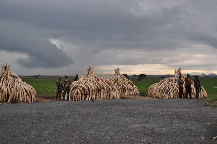 Nairobi National Park, the site of last month's celebrated ivory burn, is threatened by a Chinese-funded railway.