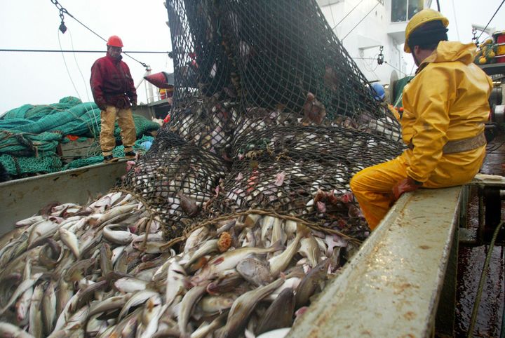 Fishermen aboard the French trawler Grande Hermine, a French cod-fishing boat, handling a trawl in the Barents Sea.
