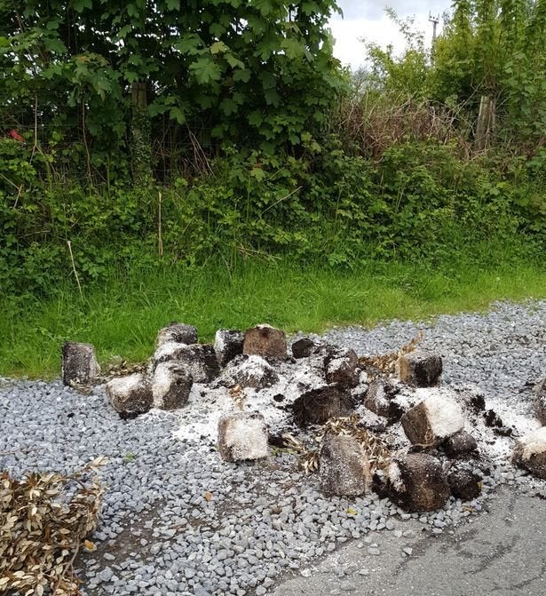 The remains were found by the side of the road near some fields containing sheep.