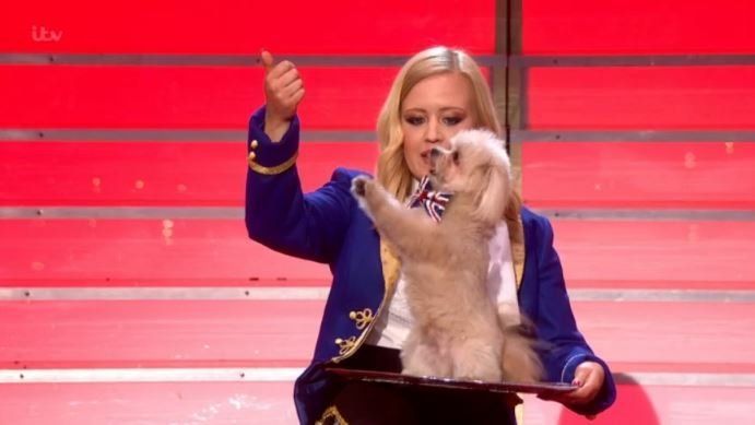 Trip Hazard and his owner Lucy impressed the 'Britain's Got Talent' crowd