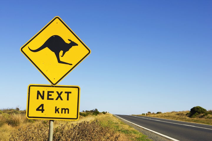 Two women in bicycling Australia were injured after a kangaroo jumped off a nearby ledge and appeared to use them as launching pads.