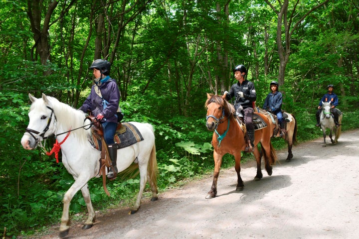 Rescuers on horseback search for a 7-year-old Japanese boy who went missing after being left in a forest overnight by hi