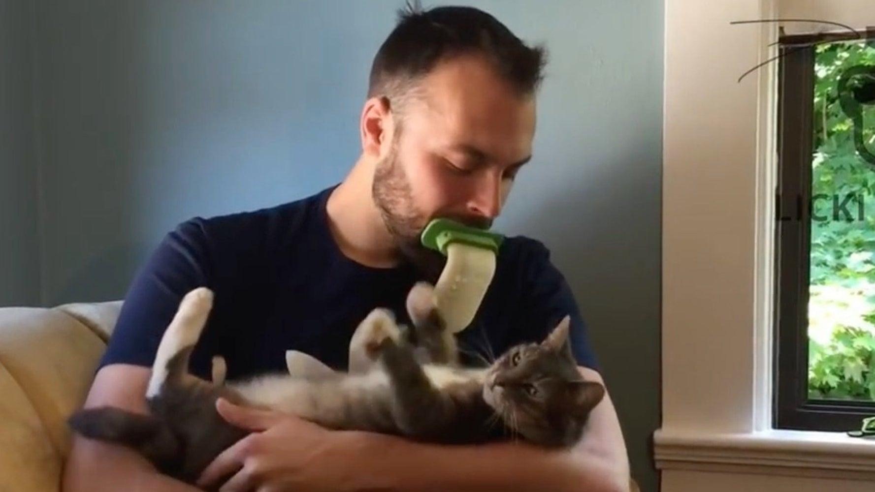 Human cat tongue brush best sale