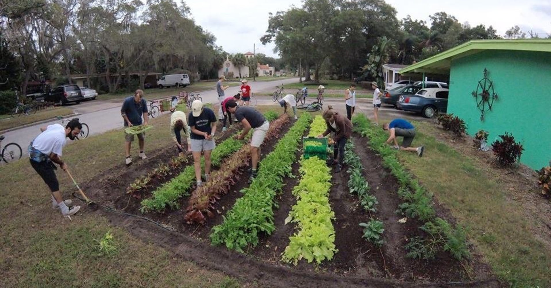 Florida Lawns Are Being Transformed Into Edible Farms HuffPost