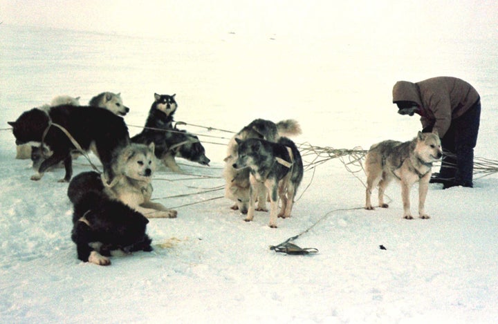 Since at least the 1950s, government and non-governmental environmental organizations disrupted Inuit livelihoods and culture.