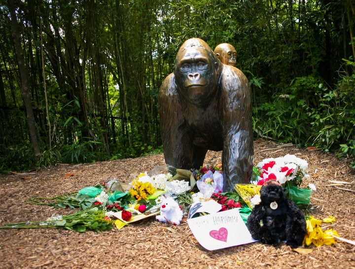 Tributes have been left by the bronze statue of Harambe following his death.