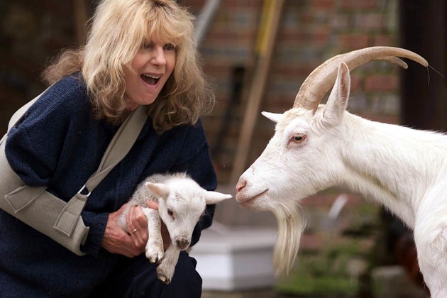 Carla Lane Dead Writer Behind The Liver Birds Bread Butterflies Dies Aged 87 Huffpost Uk