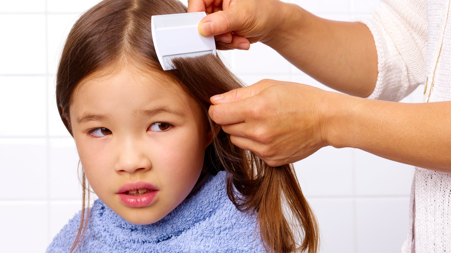 Head Lice Warning 'Super Nits Resistant To Head Lice Shampoo' Are An Increasing