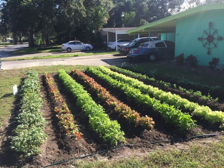 Gary Henderson's fruitful farmlette.