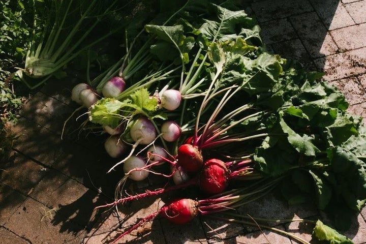 Produce plucked freshly out of a farmlette.