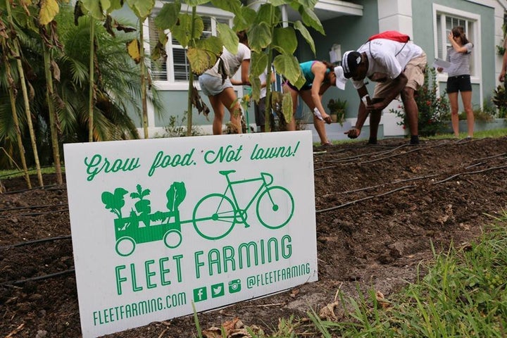 Volunteers maintaining a farmlette.
