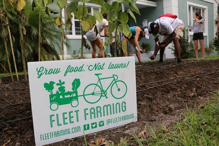 Volunteers maintaining a farmlette. 