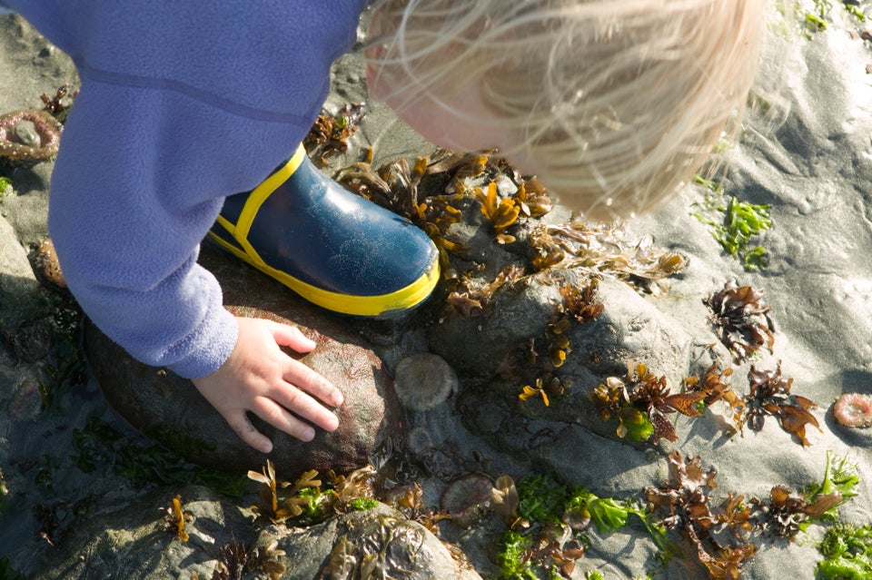 Rock pools