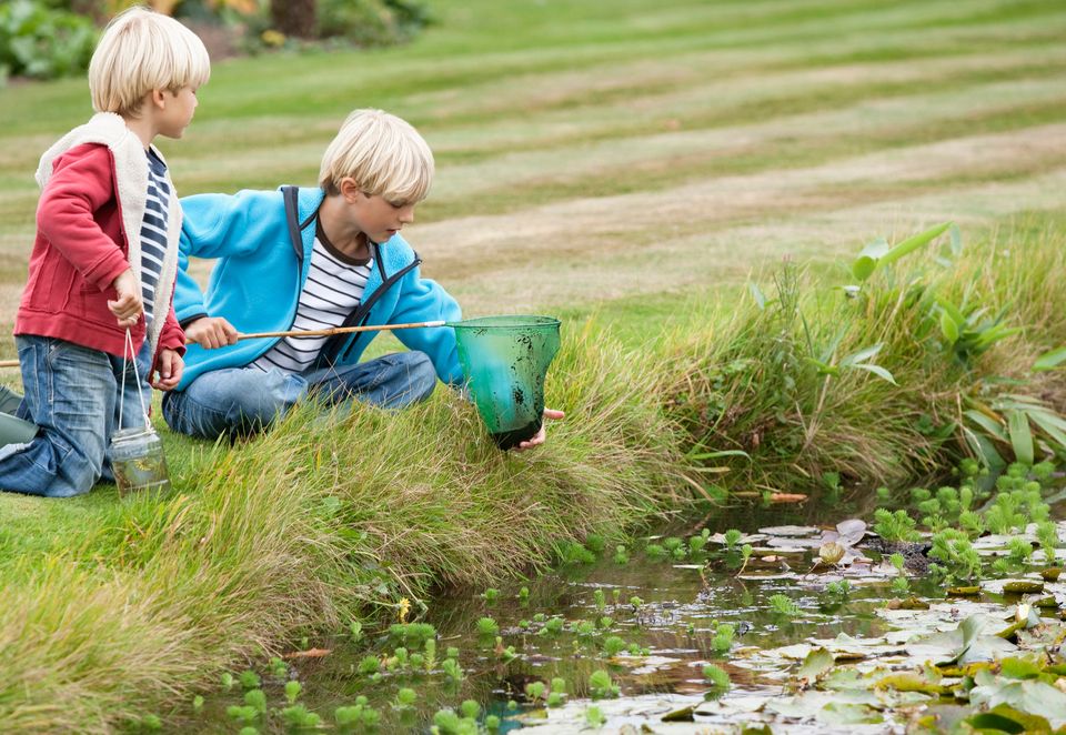 7 Natural Wonders That Will Impress Your Children | HuffPost UK Parents