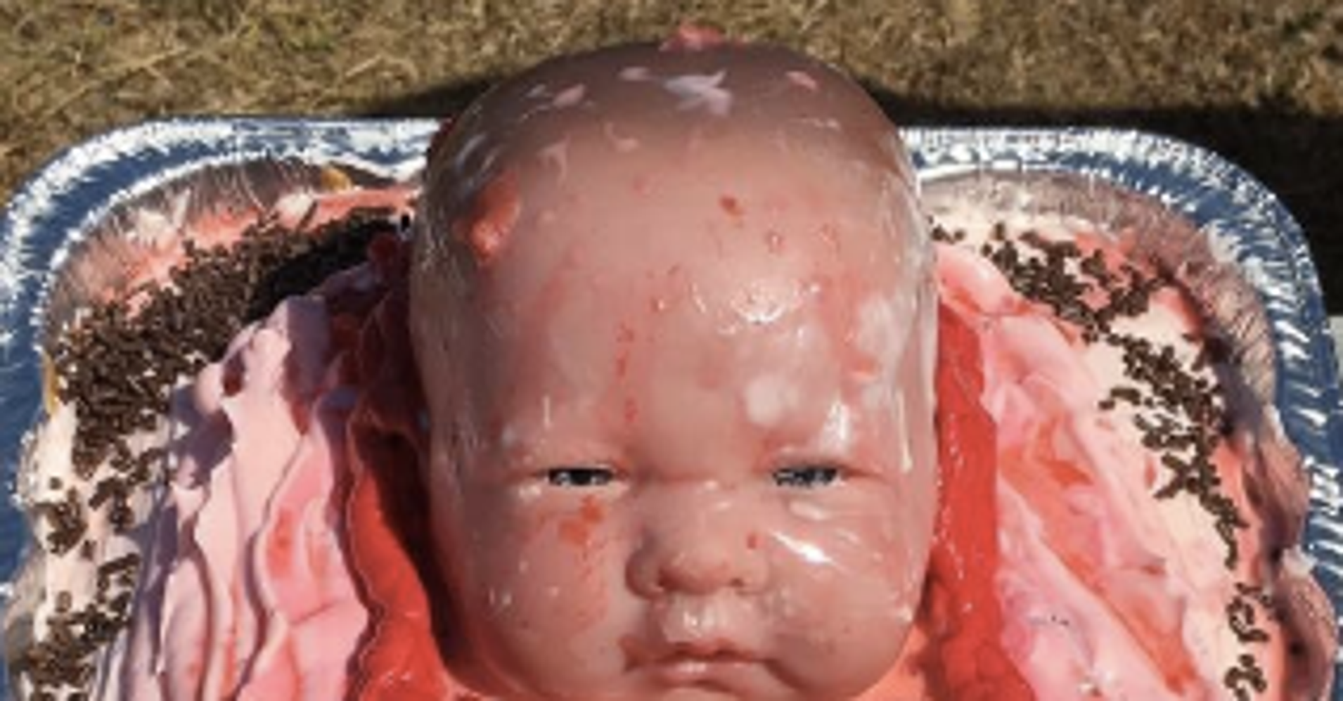 Baby come out of vagina - New porn out vagina come Baby of