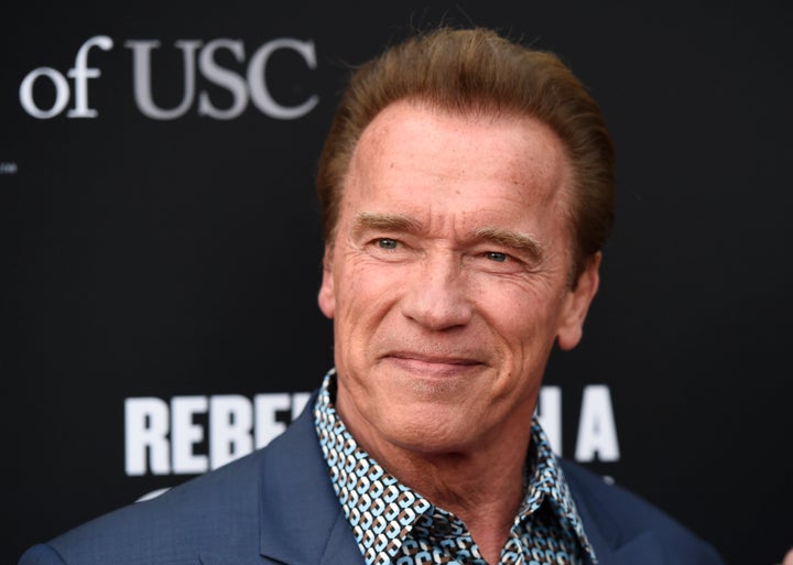 "The Terminator" star used the amazing close encounter to speak out against them being hunted for their ivory tusks.