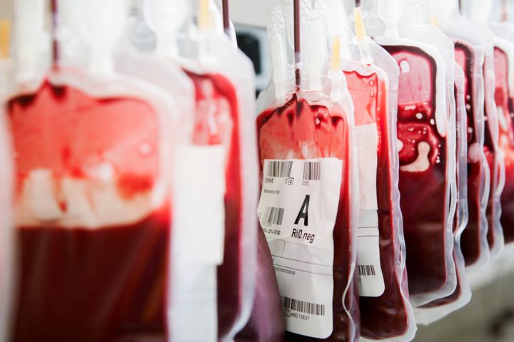 <strong>Northern Ireland bans all gay men from giving blood</strong>