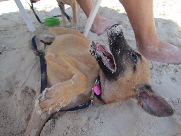 Looks like someone wants to build a sand castle.