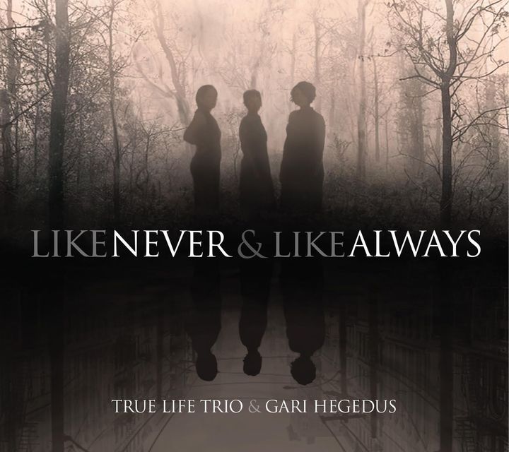 True Life Trio / Like Never & Like Always