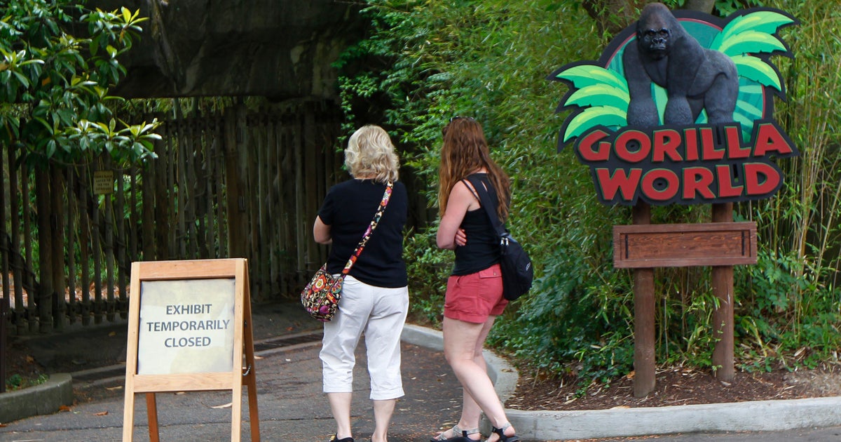 No Charges Filed Against Mother Of Boy Who Fell Into Gorilla Pen