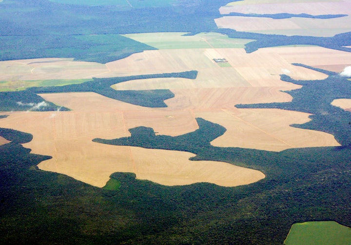 Virgin Amazon rain forest surrounds patches of deforested land prepared for the planting of soybeans.