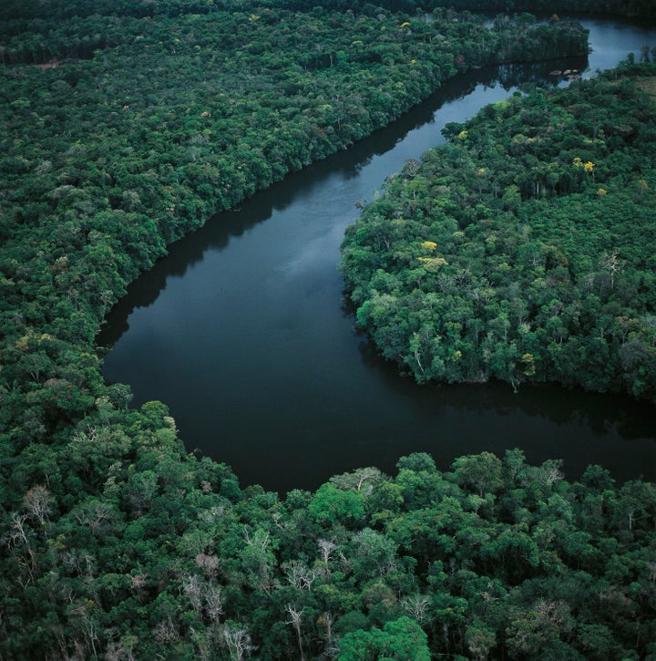 Aerial view of Amazon rainforest in Amazonas State, Venezuela,