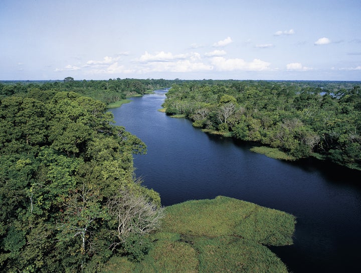 Tributary of the Amazon River.