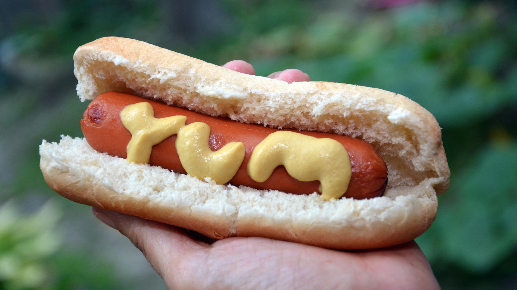 This Trick Keeps Your Hot Dog And Hamburger Buns Fresh For A Full Month | HuffPost Life
