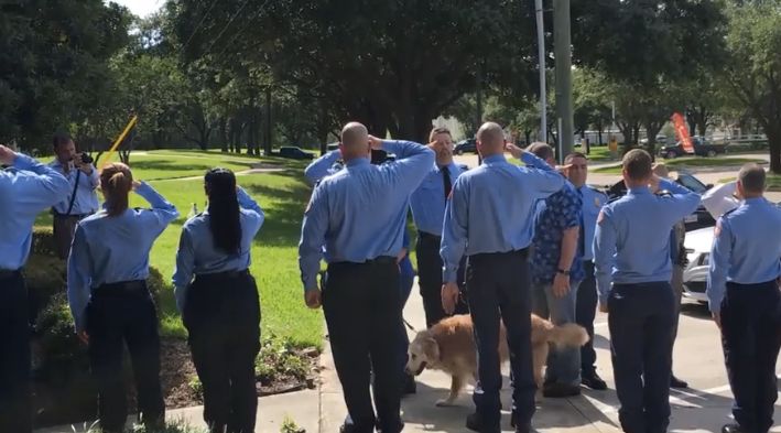 Bretagne was given a final salute before being euthanized. 