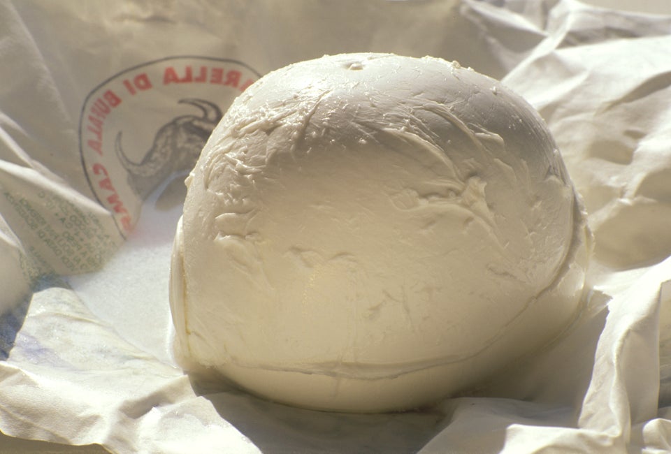 Mozzarella or burrata cheese