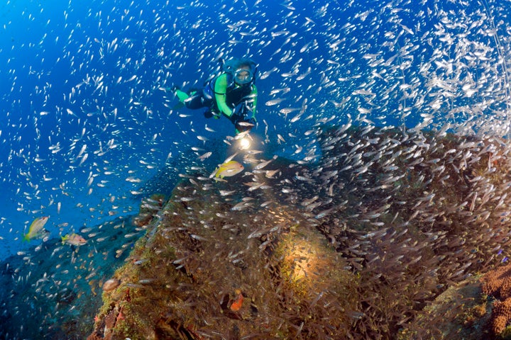 A diver swims near Bikini Atoll. 