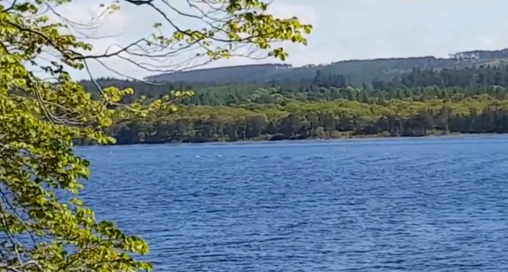 Could it be a many-humped beast racing through the water?