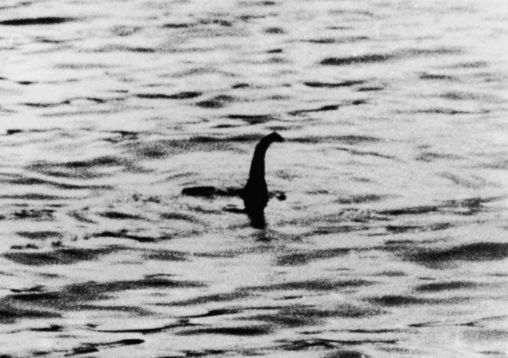 The iconic picture of ‘Nessie’