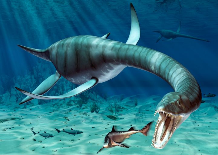 Is Nessie the last of a line of long-surviving plesiosaurs?