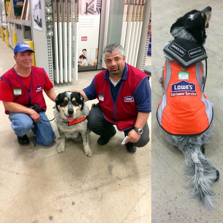 Introducing two of Lowe's latest hires: Blue the service dog and his owner, Owen.