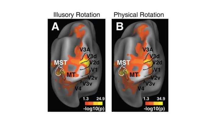 Brain scans show the same brain areas (the MT and a related region) activate when people see illusory or real motion.