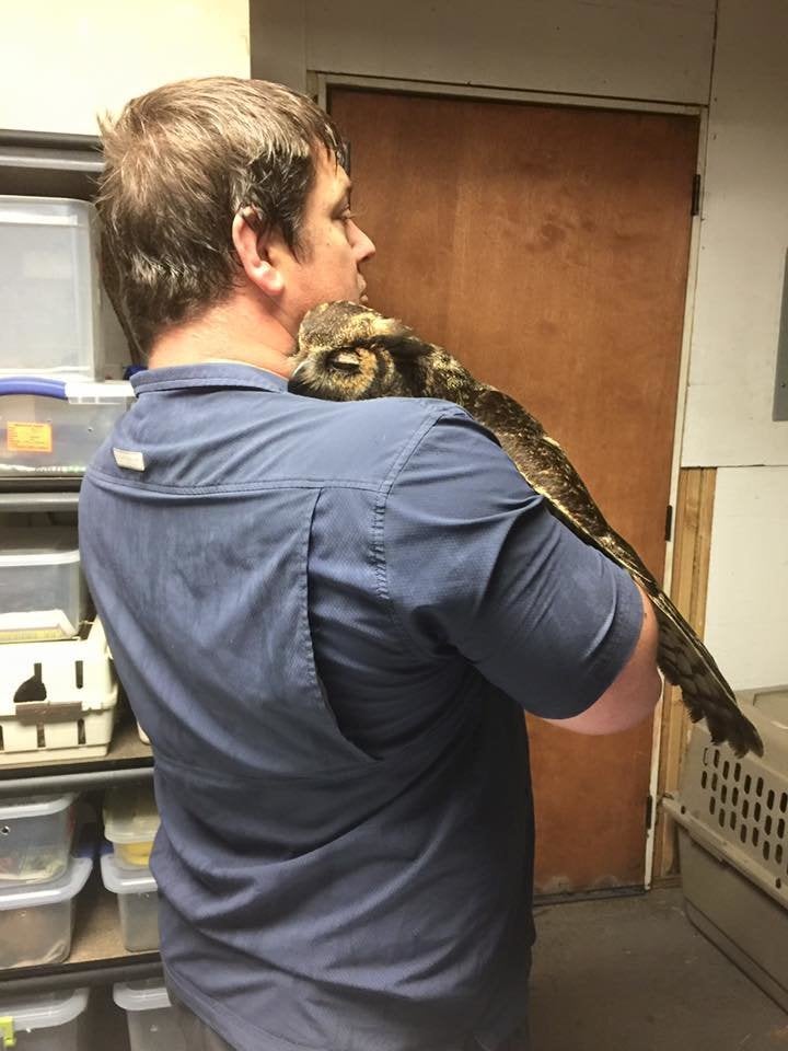 Doug Pojesky and Gigi the owl. (Property of Wild At Heart Rescue)