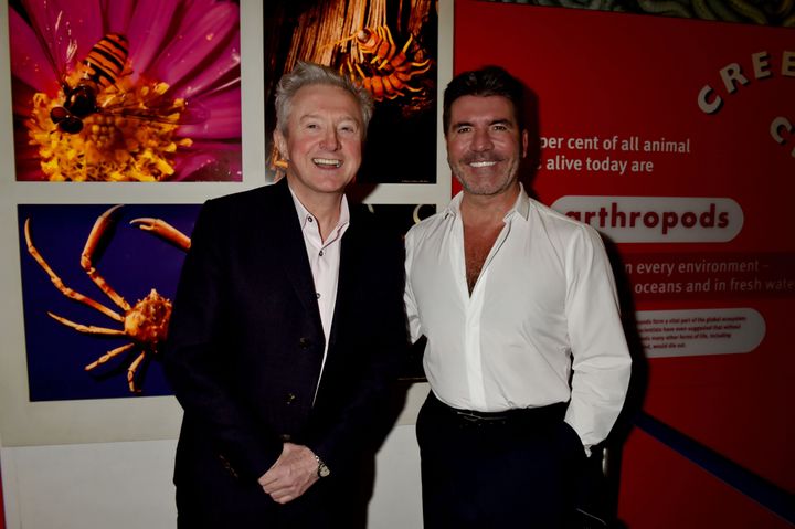 <strong>Louis Walsh and Simon Cowell</strong>