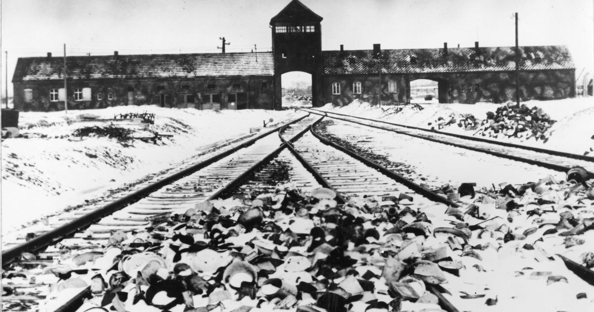 Auschwitz Victims Belongings Unearthed After More Than Half A