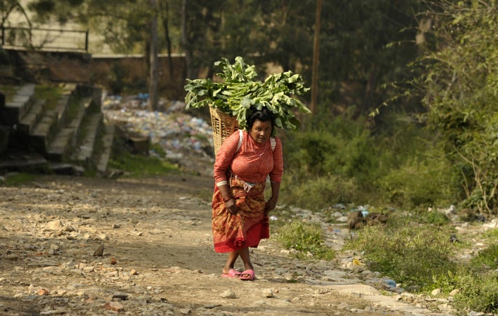 A Nepalese farmer returns from her field at the village Khokana, on the outskirts of Kathmandu on January 7, 2015. The tradit