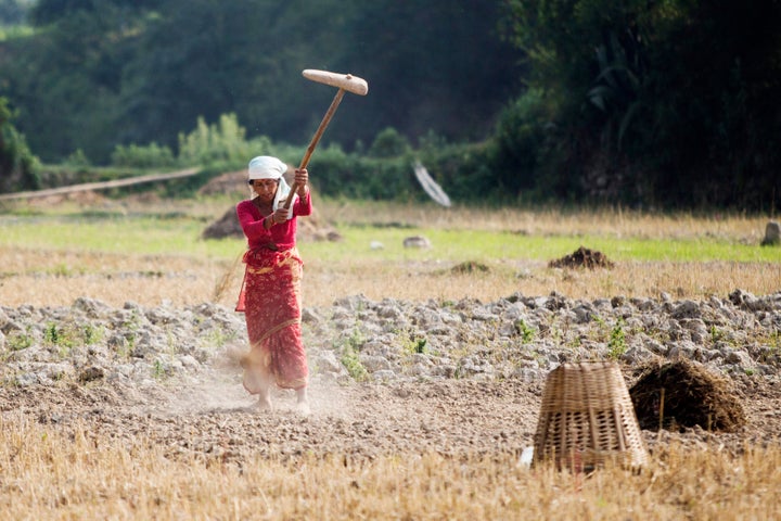A farmer beats the ground in preparation for sowing seeds in Champi, Kathmandu Valley, Nepal, on Friday, May 29, 2015. Photog