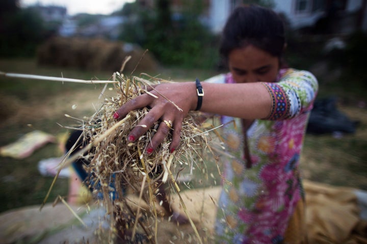 A farmer winnows wheat in Chapagaon, Kathmandu Valley, Nepal, on Thursday, May 28, 2015. Nepal's gross domestic product will