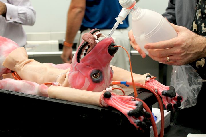 <strong>The synthetic dog has been designed to be a realistic and detailed surgical trainer for veterinary students.</strong>