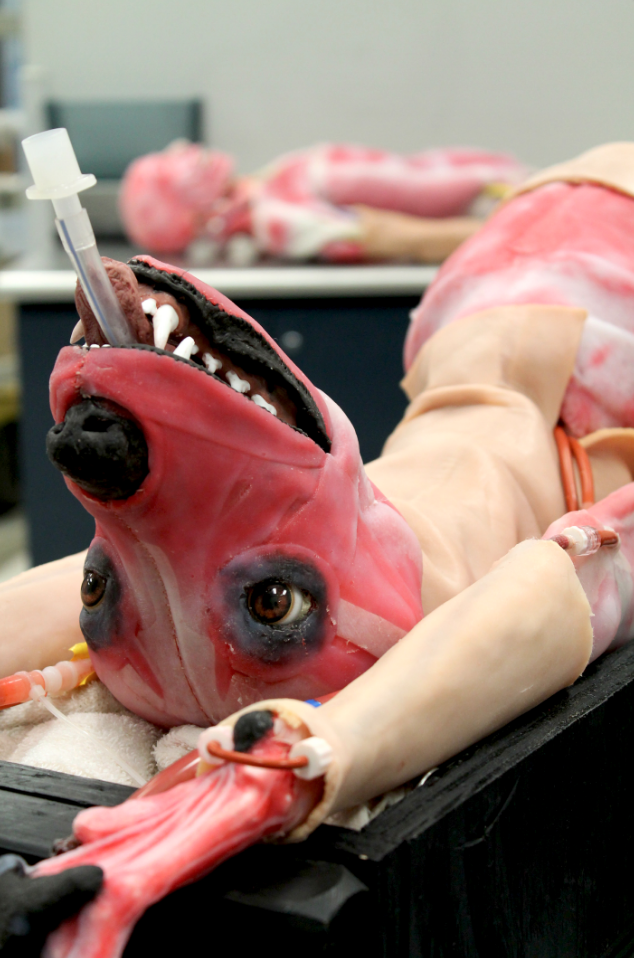 <strong>Manufacturers hope that the synthetic dog will replace thousands of animals that are used in experiments at veterinary colleges worldwide.</strong>